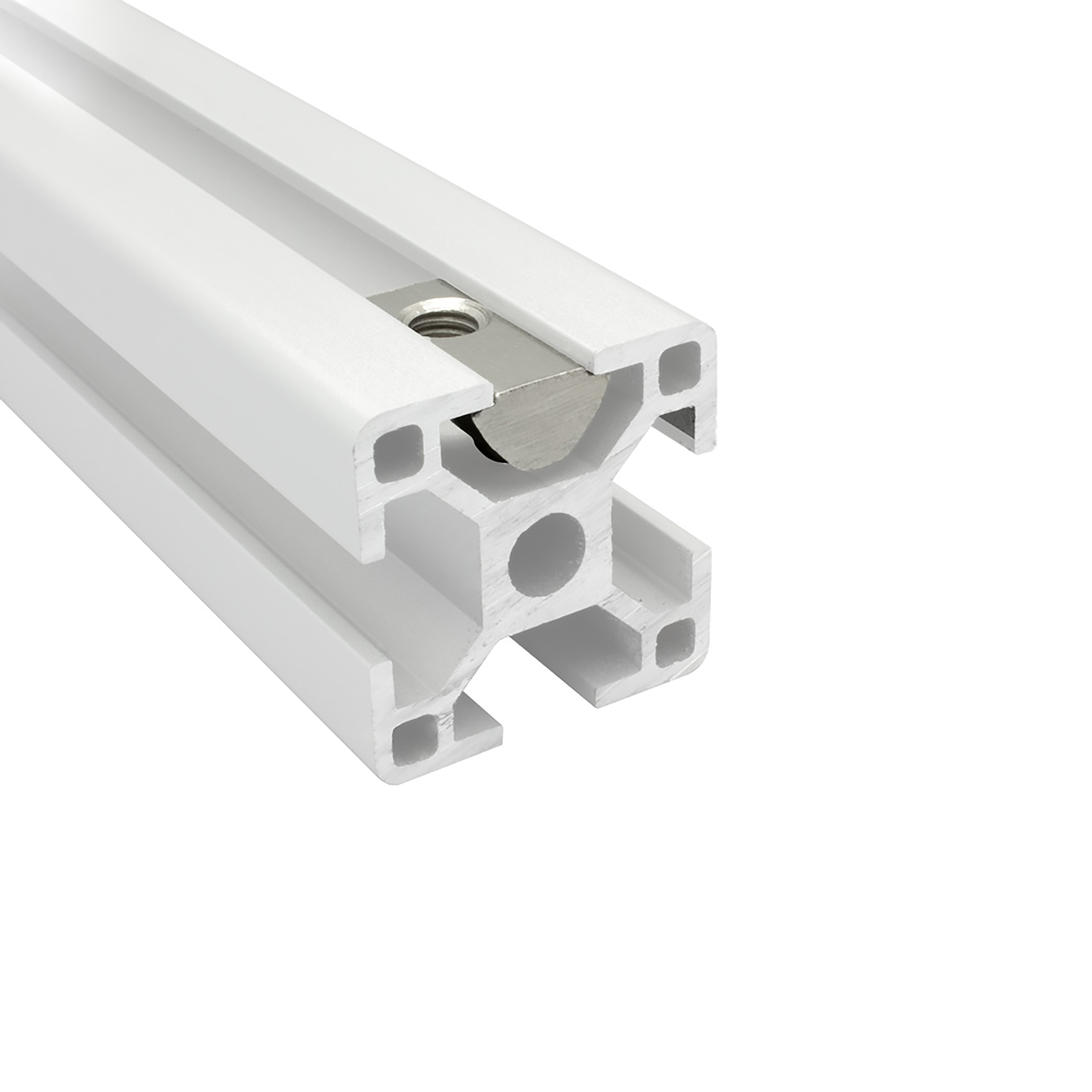 Edelstahl Nutenstein mit Federkugel und Steg M5 Nut 8 für Aluprofil 30-er - 10 Stück Edelstahl Nutenstein mit Federkugel und Steg M5 Nut 8 für Aluprofil 30-er - 10 Stück