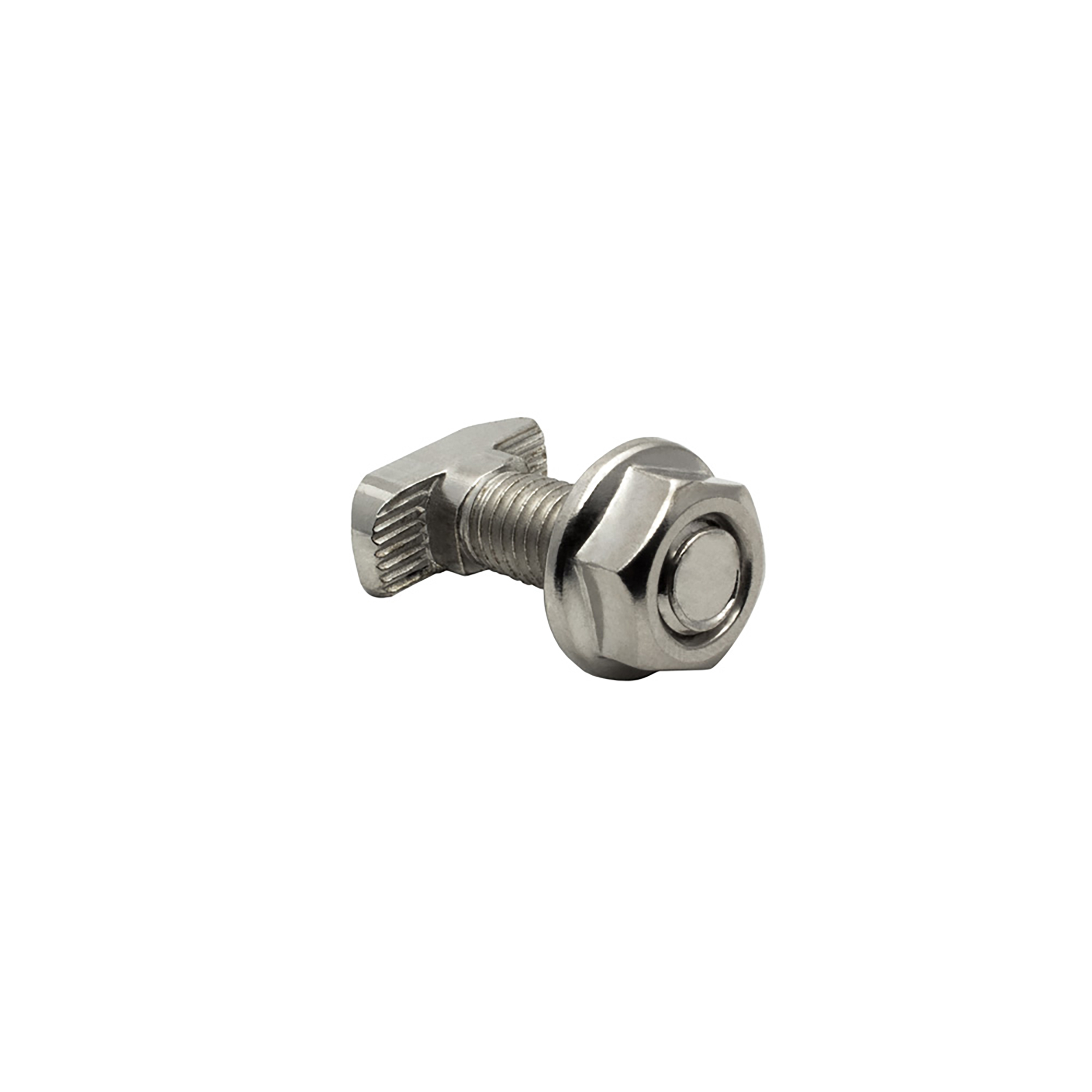 Hammerschraube T-Schraube M8 40mm Nut 8 für Aluprofil 40-er 1 Stück + Mutter Hammerkopfschraube T-Schraube M8 40mm Nut 8 Aluprofil 40-er 1 Stück + Mutter
